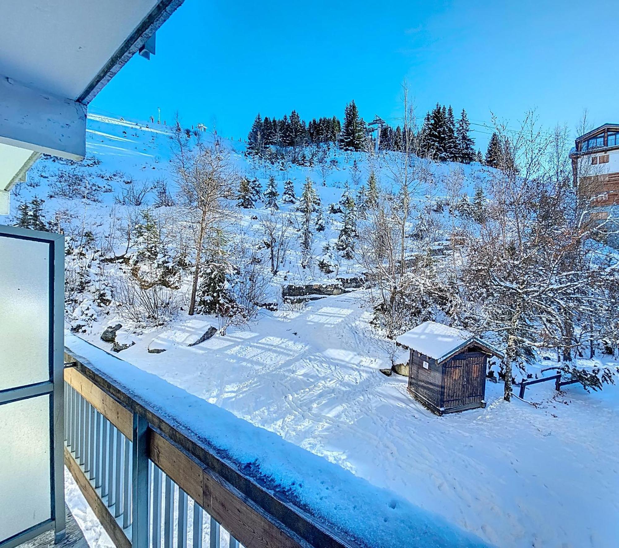 1650 Mountain View - Snow Front 2s01 *